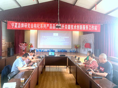 寧夏枸杞產業迎來技術革新 品牌研究會品質提升創新服務工作站掛牌，信息技術賦能產業升級